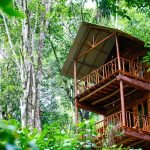 Tree-House-with-Mountain-View-01
