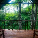 Tree-House-with-Mountain-View-02