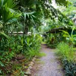 cottage-platform-in-tropical-gardens-07