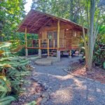 small-wooden-cottage-in-tropical-rainforest-gartdens-01