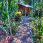 small-wooden-cottage-in-tropical-rainforest-gartdens-07