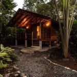 small-wooden-cottage-in-tropical-rainforest-gartdens-08