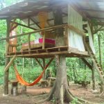 tree-deck-on-a-magically-beautiful-property-in-the-jungle-01