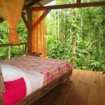 tree-deck-on-a-magically-beautiful-property-in-the-jungle-03