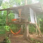 tree-deck-on-a-magically-beautiful-property-in-the-jungle-10