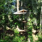 tree-deck-on-a-magically-beautiful-property-in-the-jungle-12