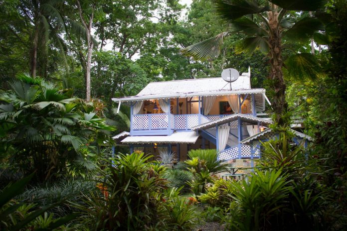 victorian-house-in-natural-gardens-01 บ้านไม้สไตล์วิคตอเรียน หรูหรา คลาสสิค อยู่ในบรรยากาศป่าธรรมชาติ
