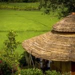 Hut-Rice-field-View-in-ChiangMai-12