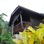 Kampung-House-Traditional-Malay-House-02