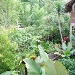 Organic-Bamboo-Bungalow-in-Bali-19