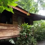 rustic-bungalow-situated-in-the-tropical-jungle-02