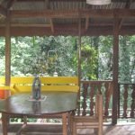rustic-bungalow-situated-in-the-tropical-jungle-08
