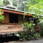 rustic-bungalow-situated-in-the-tropical-jungle-16