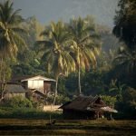 Chiang-Mai-Traditional-Farm-House-08