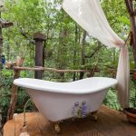 Luxury-Cottage-in-The-Jungle-Australia-08