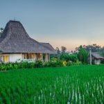 Traditional-Javanese-House-Balinese-Indonesian-18