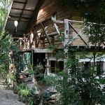 rustic-house-built-from-reclaimed-teak-wood-surrounded-by-nature-from-northern-thailand-02