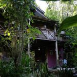 rustic-house-built-from-reclaimed-teak-wood-surrounded-by-nature-from-northern-thailand-03
