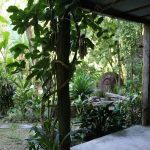 rustic-house-built-from-reclaimed-teak-wood-surrounded-by-nature-from-northern-thailand-05