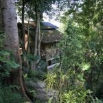 rustic-house-built-from-reclaimed-teak-wood-surrounded-by-nature-from-northern-thailand-17