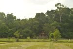 cottage-with-big-porch-fronting-ponds-rice field-07