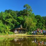 cottage-with-big-porch-fronting-ponds-rice field-08