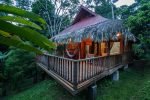 wood-house-in-tropical-forest-01