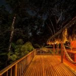 wood-house-in-tropical-forest-09
