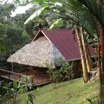 wood-house-in-tropical-forest-10