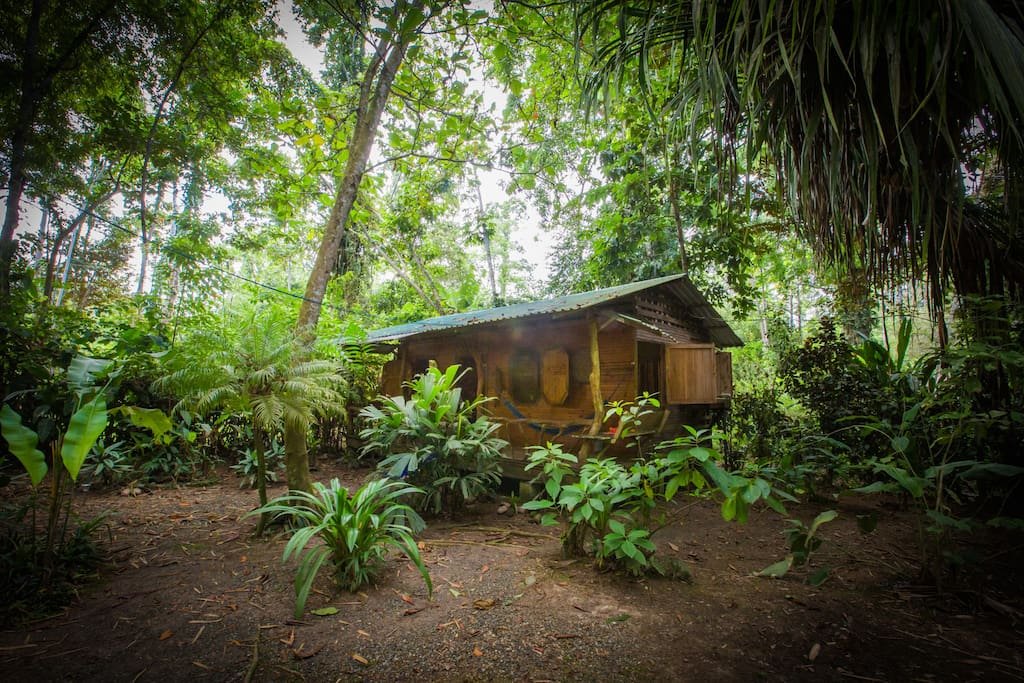 บ้านไม้หลังเล็ก ๆ ปูพื้นด้วยไม้เนื้อแข็งและกระเบื้องเซรามิก ในบรรยากาศสวนป่าทรอปิคอล