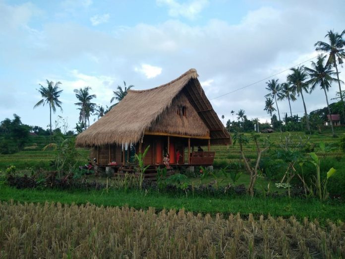 cute-and-charming-eco-friendly-cottage-bali-feature กระท่อมไม้กลางทุ่งนา ECO เป็นมิตรกับสิ่งแวดล้อม บรรยากาศเงียบสงบ