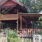 banklangtung-organic-homestay-feature