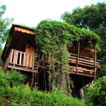 cottage-resort-on-the-hill-chiangmai-feature