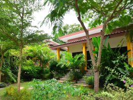 บ้านทรงโมเดิร์น มีเฉลียงหน้าบ้าน ปลูกต้นไม้ จัดสวนร่มรื่น