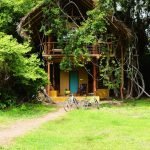 cozy-tree-house-in-sri-lanka-01