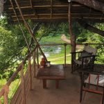 cozy-tree-house-in-sri-lanka-10