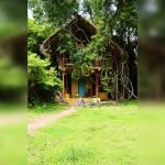 cozy-tree-house-in-sri-lanka-feature