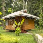 small-wooden-house-caribbean-style-surrounded-by-the-jungle-01