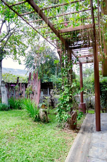 บ้านและสวน บรรยากาศอบอุ่นแบบไทย ๆ มีซุ้มระแนงไม้ม่านบาหลีบังแดด