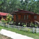 traditional-thai-country-house-surrounded-by-rubber-plantation-12