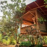 traditional-thai-homestay-surrounded-by-beautiful-nature-12