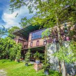 container-house-surrounded-by-tropical-rainforest-02