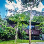 container-house-surrounded-by-tropical-rainforest-04