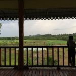 rice-fields-house-thailand-07