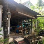 bali-farmers-yard-hostel-garden-21