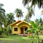 Yellow-House-with-Big-Garden-01