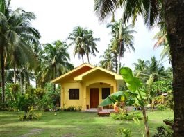 บ้านหลังเล็กสีเหลือง ท่ามกลางสวนมะพร้าว และสนามหญ้าโล่งกว้าง
