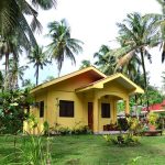 Yellow-House-with-Big-Garden-11