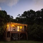 treehouse-surrounded-by-a-quiet-and-natural-environment-22