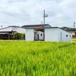minimal-house-with-rice-field-view-17